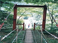 八木の吊橋