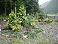 ゆとろぎ公園